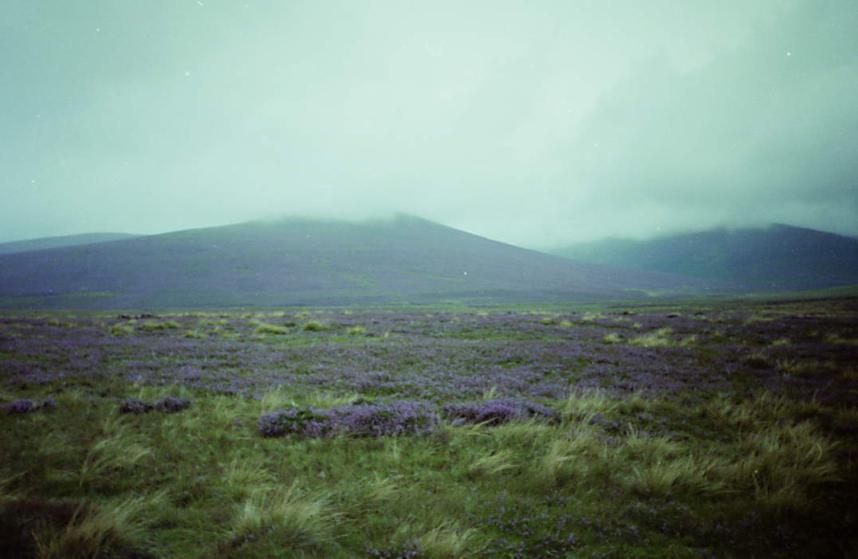 1989-08-25c.jpg - Purple heather, Back o' Skidda