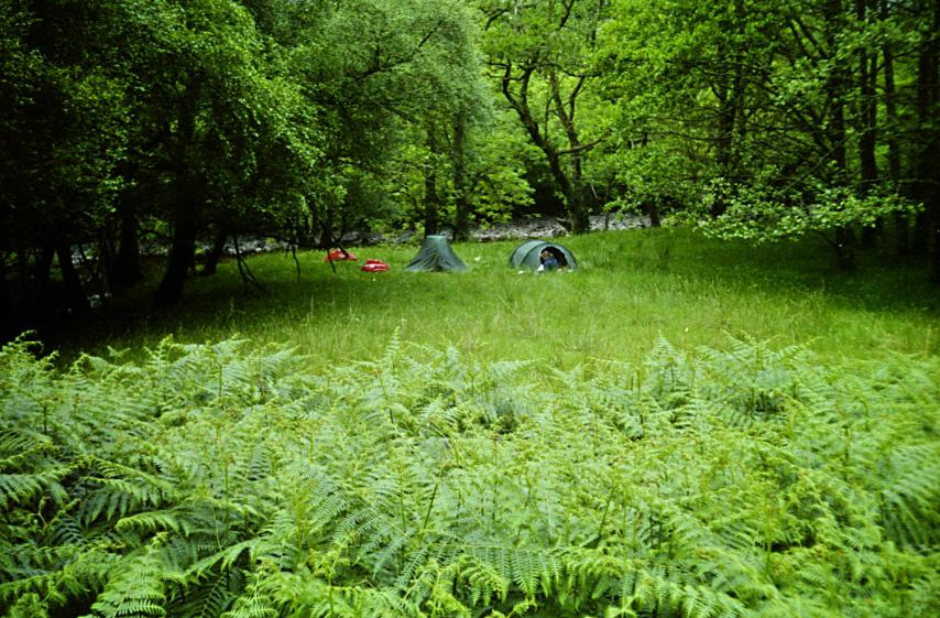 1992-06-20b.jpg - Camping near Kinlochewe