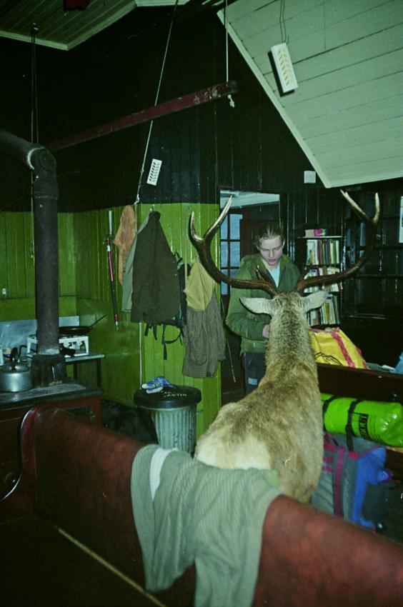 1992-12-24a.jpg - Friendly stag at Loch Ossian hostel