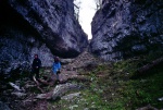 Trow Gill