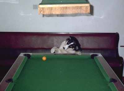 1997-01-08e.jpg - Skip playing pool