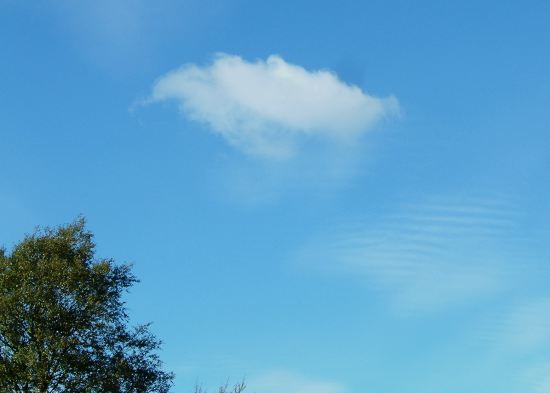 20030928-164214.jpg - Tree and cloud