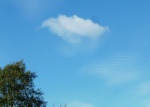 Tree and cloud