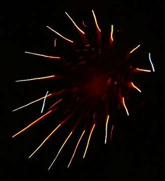 20031105-183658.jpg - Firework