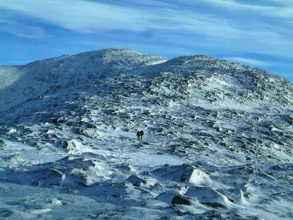 20031229-114554.jpg - On Beinn Fhionndlaidh - summit in sight