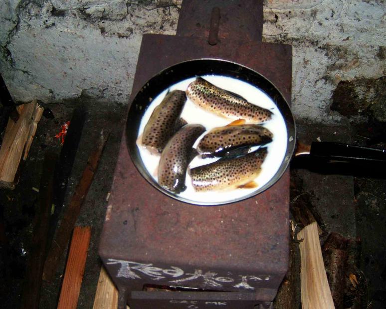 20040828-200552.jpg - Cooking trout