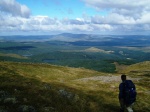 Looking out over the Galloway forest