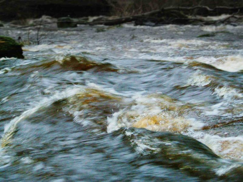 20041224-145902.jpg - River Ure in spate near Grewelthorpe