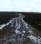 The easy track across the summit is a little muddy in places!