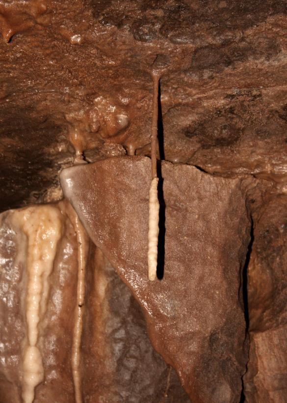 20050220-161622.jpg - An unusual stalagtite