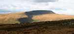 Above Penwyllt, there's an open view of Bannau Sir Gaer (the Black Mountain)