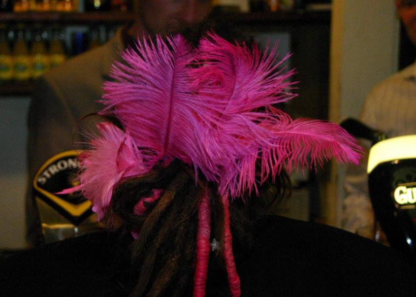 20050416-202634.jpg - Pink feather (novelty hair)