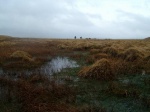 Peter and Lottie cross the wild (and boggy) moorland