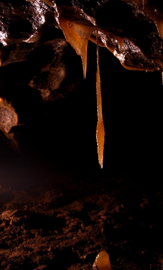 20050507-113334.jpg - Delicate stalactite