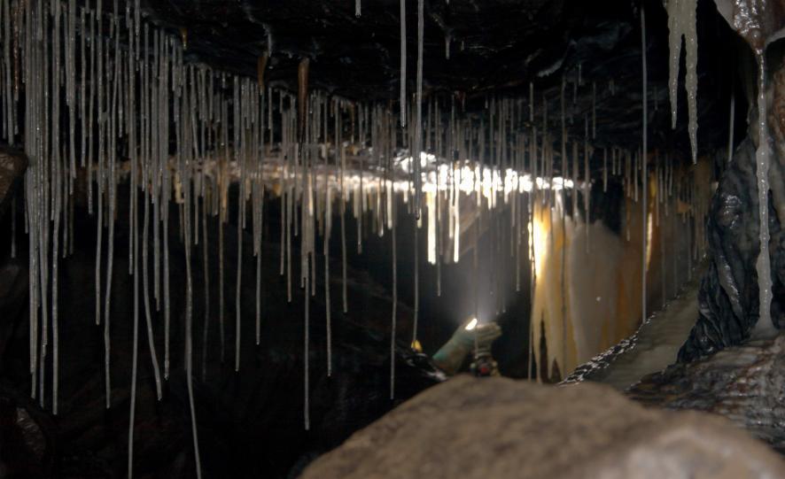 20050507-115238.jpg - Straw stalactites
