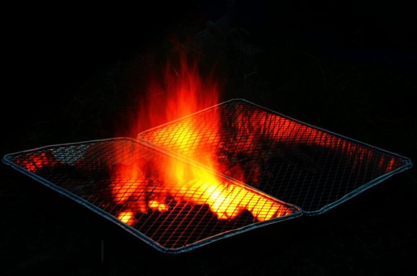 20050620-213526.jpg - Barbecue