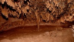 Mud stalactites