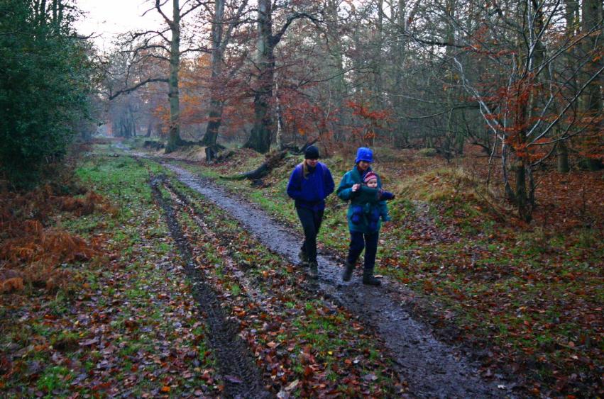 20051210-152254.jpg - Jane, Margaret and Robin walk through the woods