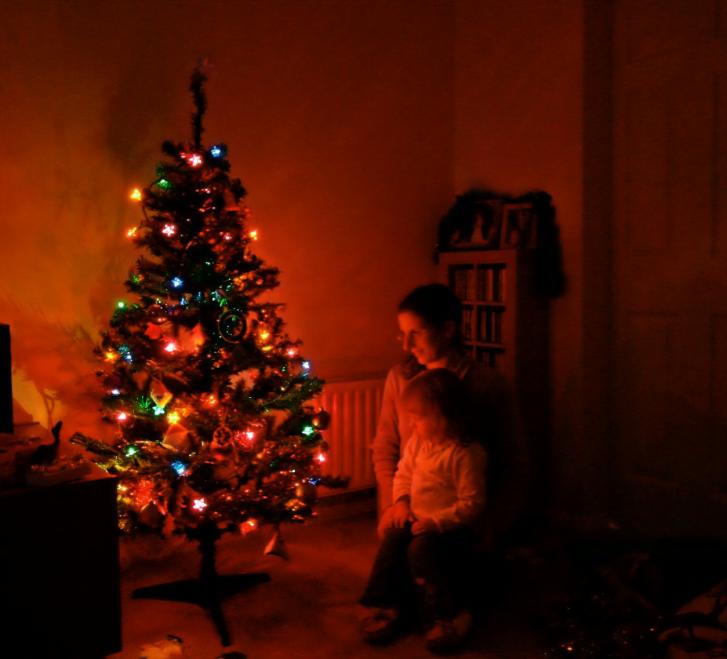 20051211-151236.jpg - Christmas tree