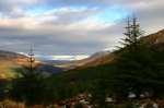 View up the glen towards Bridge of Orchy