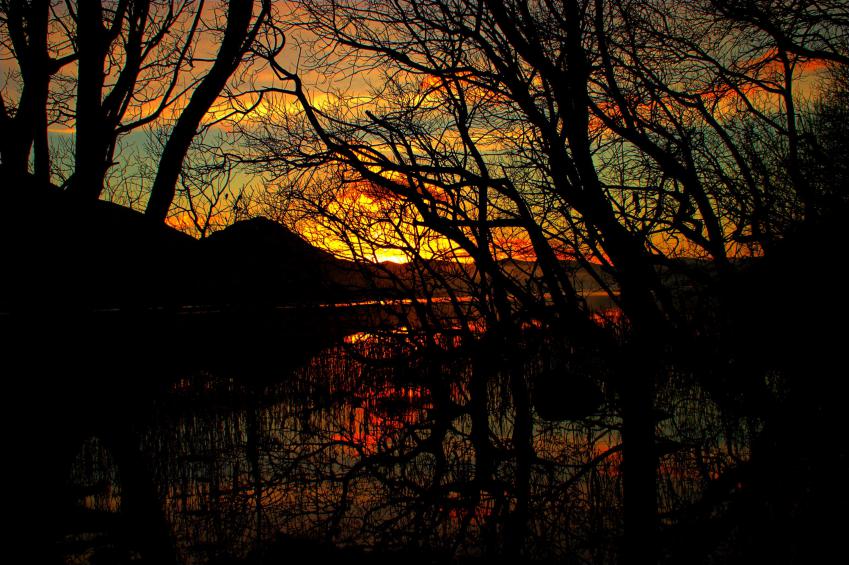 20051225-085030.jpg - Sunrise through the trees at Bassenthwaite Lake