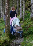 Pushchair in the woods