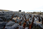These rocks look like a limestone pavement (but they are not!)