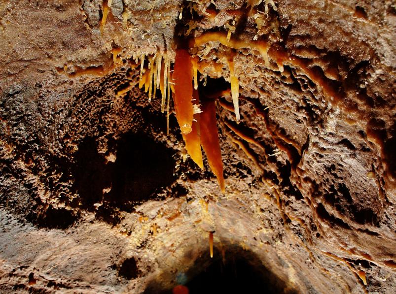 20060730-141732.jpg - Carrot-like stalactites