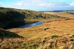 Another look back at the tarn
