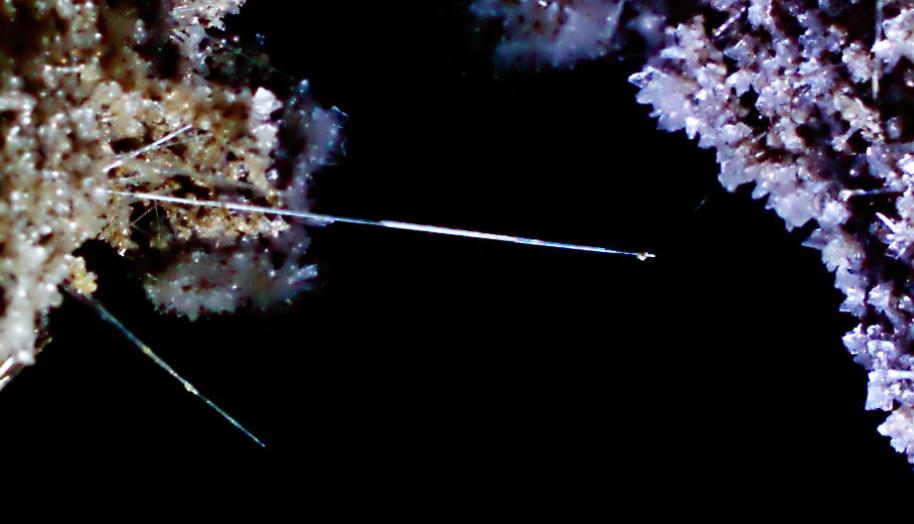 20071208-121548b.jpg - Needle close-up