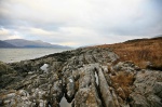 Shoreline rocks