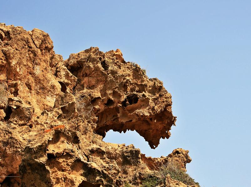 20080412-143802.jpg - "Dinosaur Head" rock