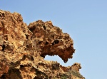 "Dinosaur Head" rock