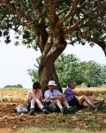 Maureen, Alan and Dorothy enjoy lunch under an olive tree