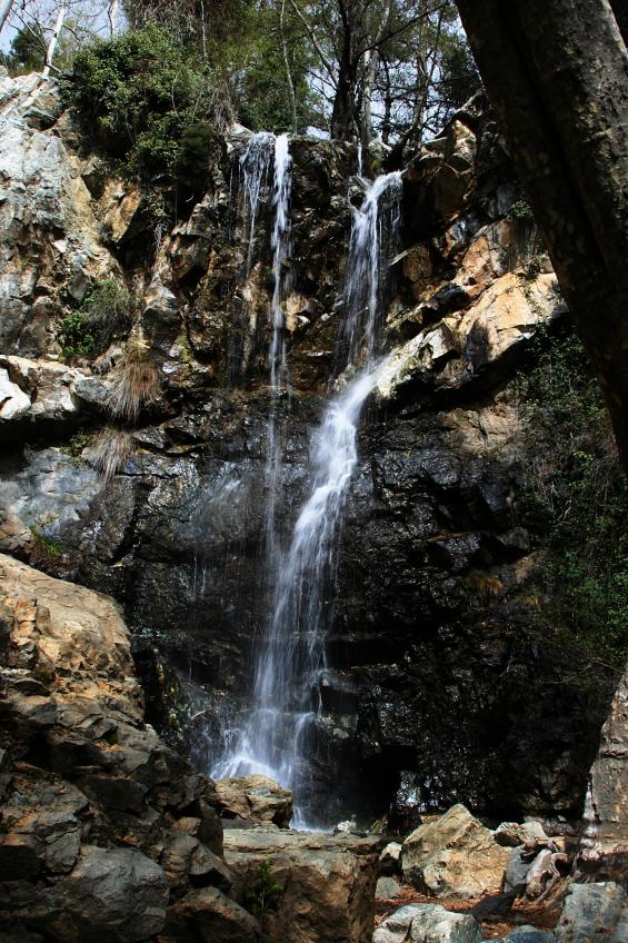 20080407-085428.jpg - Kaledonia Falls