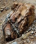 Pathside rock with quartz vein