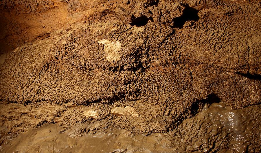 20110327-135159.jpg - Mud formation on walls