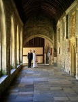 Returning to Cloisters