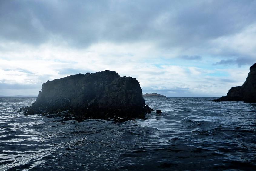 20140301-140328.jpg - A rock off Horse Island