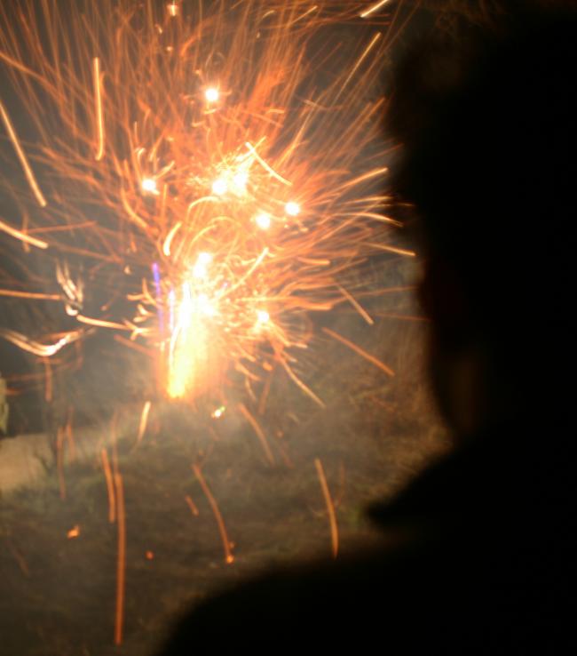20141101-212430.jpg - Fireworks from a safe vantage