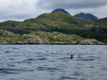 Sleeping seal, and Suilven