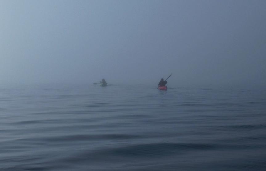 20220813-092521.jpg - Paddlers in the mist